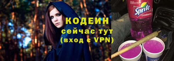 ECSTASY Горняк