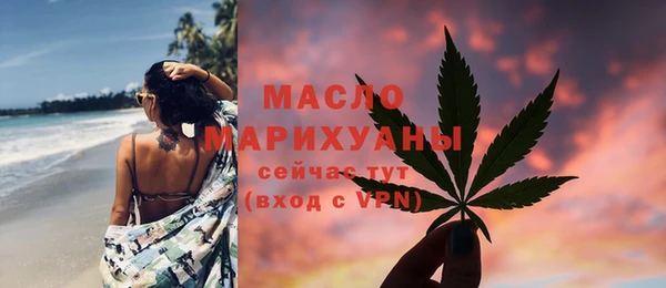 ECSTASY Горняк