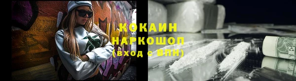 ECSTASY Горняк