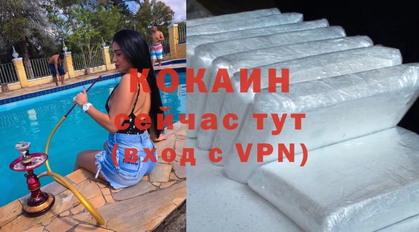 ECSTASY Горняк
