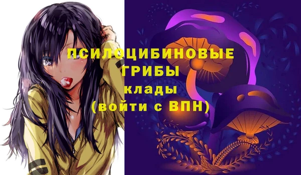тгк Сосновка
