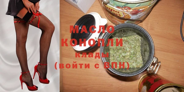 ECSTASY Горняк