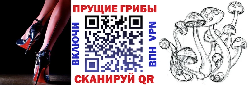 мега как войти  цена наркотик  Гурьевск  Галлюциногенные грибы прущие грибы 